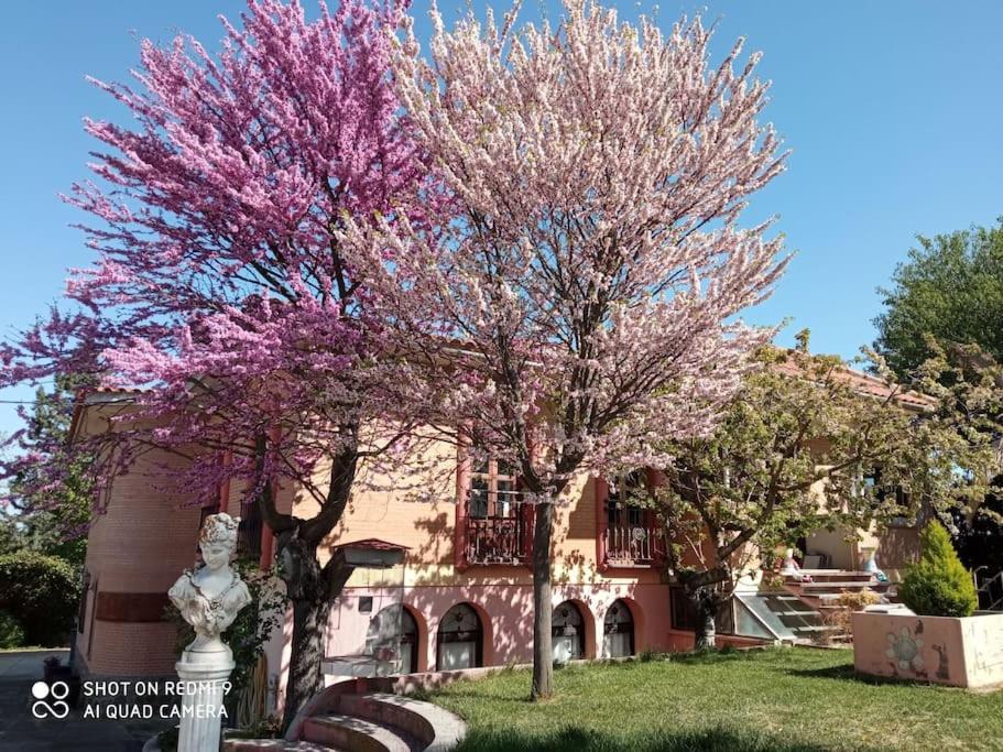 Finca Denunez Villa La Mata  Ngoại thất bức ảnh