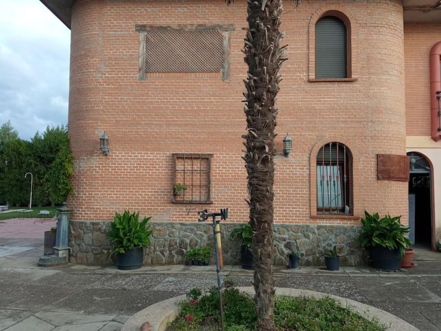 Finca Denunez Villa La Mata  Ngoại thất bức ảnh